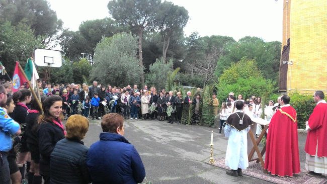 Domenica delle Palme